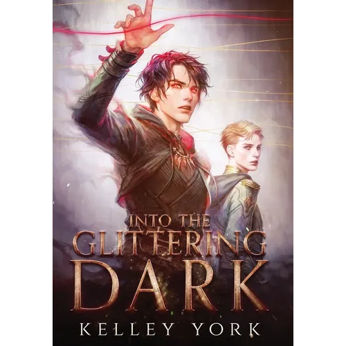 Into the Glittering Dark - Hardcover