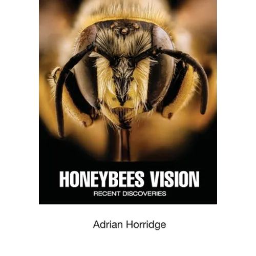 Honeybees Vision: Recent Discoveries