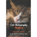 Cat Photography Mastery: Learn How To Take Great Photos Of Your Cats: Cat Photographs