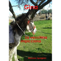 Gina -La Vecchina impicciona-