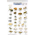 Mac's Field Guides: North American Land Mammals