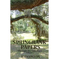 Springbank Papers: Through the Sun's Eyes