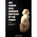 Are Human Soul Energies Recycled by the Fungi?