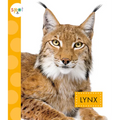 Lynx