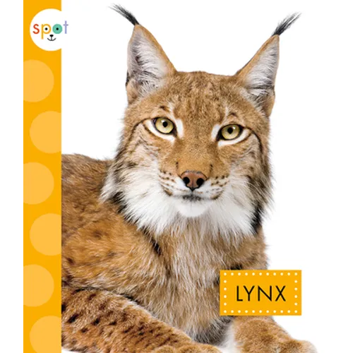 Lynx