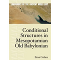Conditional Structures in Mesopotamian Old Babylonian