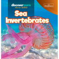 Sea Invertebrates
