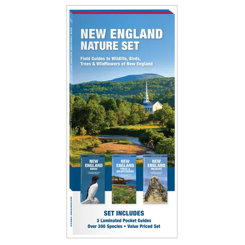 New England Nature Set: Field Guides to Wildlife, Birds, Trees & Wildflowers of New England