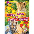 Baby Lion or Baby Tiger?