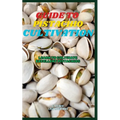 Guide to Pistachio Cultivation: Learn to cultivate excellent Pistachios