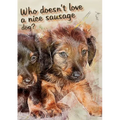 Who doesn't like a nice sausage dog?