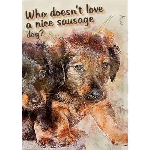 Who doesn't like a nice sausage dog?