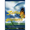 Journey Model Goodness: Seeking Our Truth