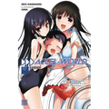 Accel World, Vol. 10 (Light Novel): Elements