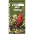 Virginia Birds: A Folding Pocket Guide to Familiar Species