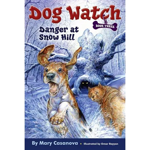 Danger at Snow Hill