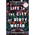 Life in the City of Dirty Water: A Memoir of Healing
