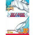 Bleach, Vol. 32