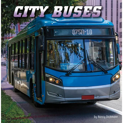 City Buses