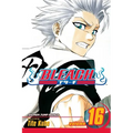 Bleach, Vol. 16