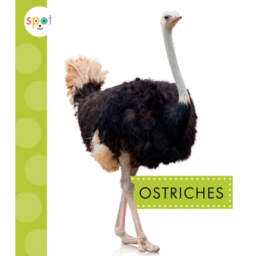 Ostriches