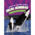 Orcas Hembras: Lideresas de la Manada