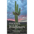 Phoenix Wildflowers: A Field Guide to the Common Shrubs, Herbs, Cacti and Ferns of the Phoenix Region