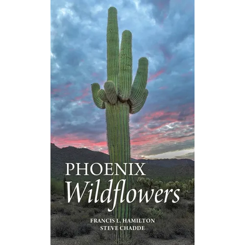 Phoenix Wildflowers: A Field Guide to the Common Shrubs, Herbs, Cacti and Ferns of the Phoenix Region