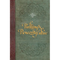 The Pursuing and Pioneering Culture