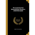 Die Anatomie Des Menschlichen Beckens, ZWEITER BAND