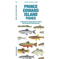 Prince Edward Island Fishes