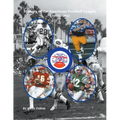 History of the American Football League {1960-1969}