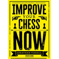 Improve Your Chess Now