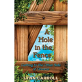 A Hole in the Fence: Getting to the Other Side of Divorce