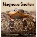 Hognose Snakes