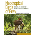 Neotropical Birds of Prey: The Origins and Evolution of No Child Left Behind