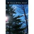 The Exercises Of Saint Gertrude: Virgin And Abbess Of The Order Of St. Benedict