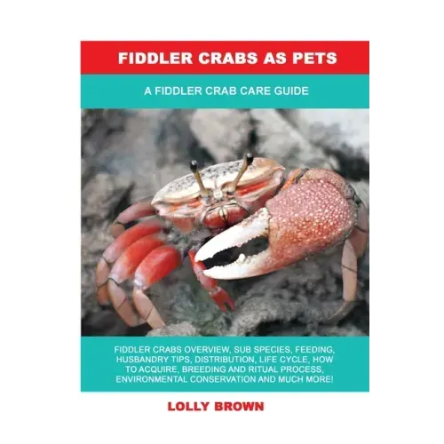 Fiddler Crabs as Pets: A Fiddler Crab Care Guide