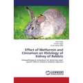Effect of Metformin and Cinnamon on Histology of Kidney of Rabbits