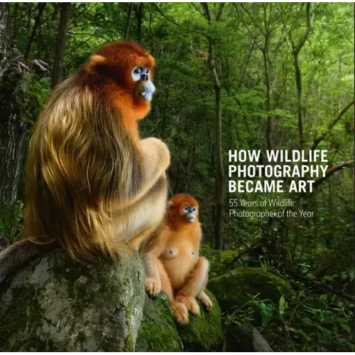 How Wildlife Photography Became Art: 55 Years of Wildlife Photographer of the Year