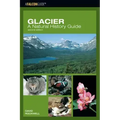 Glacier: A Natural History Guide