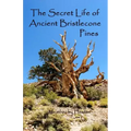 The Secret Life of Ancient Bristlecone Pines: Book One of the Secret Life Series