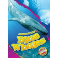 Blue Whales