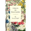 Colour in the Flower Garden