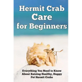Hermit Crab Care for Beginners: Everything You Need to Know About Raising Healthy, Happy Pet Hermit Crabs.