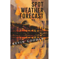 Spot Weather Forecast
