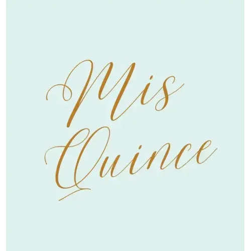 Mis Quince guest book, Quinceañera guest book, Mis Quince Anos Guest book, birthday party guest book to sign