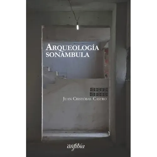 Arqueología sonámbula