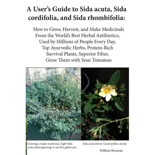 A User's Guide to Sida acuta, Sida cordifolia, and Sida rhombifolia: : How to Grow, Harvest, and Make Medicinals from the World's Best Herbal Antibiot