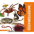 Essential Invertebrates